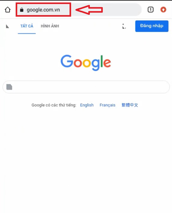 Mở trình duyệt web và gõ Google.com.vn