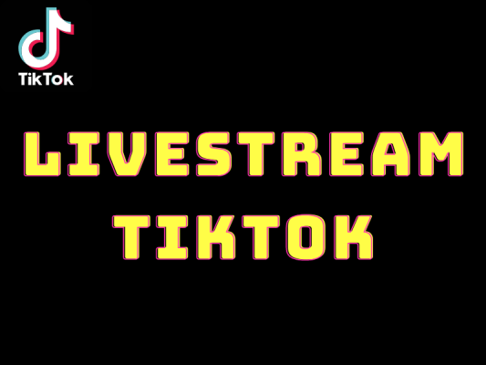 Học Livestream bán hàng trên Tiktok miễn phí tại Vua Web Digi