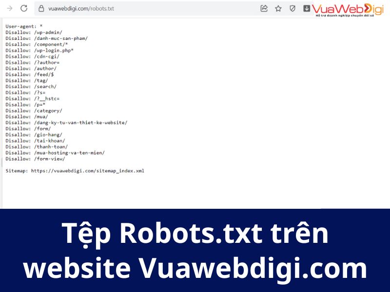 Tệp Robots.txt của Vua Web Digi