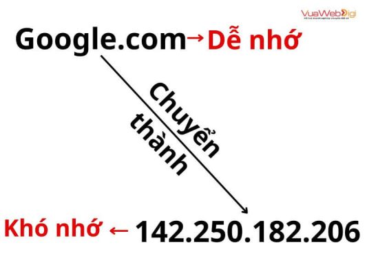 Kiểm Tra Tên Miền 3 Cách hoạt động của tên miền