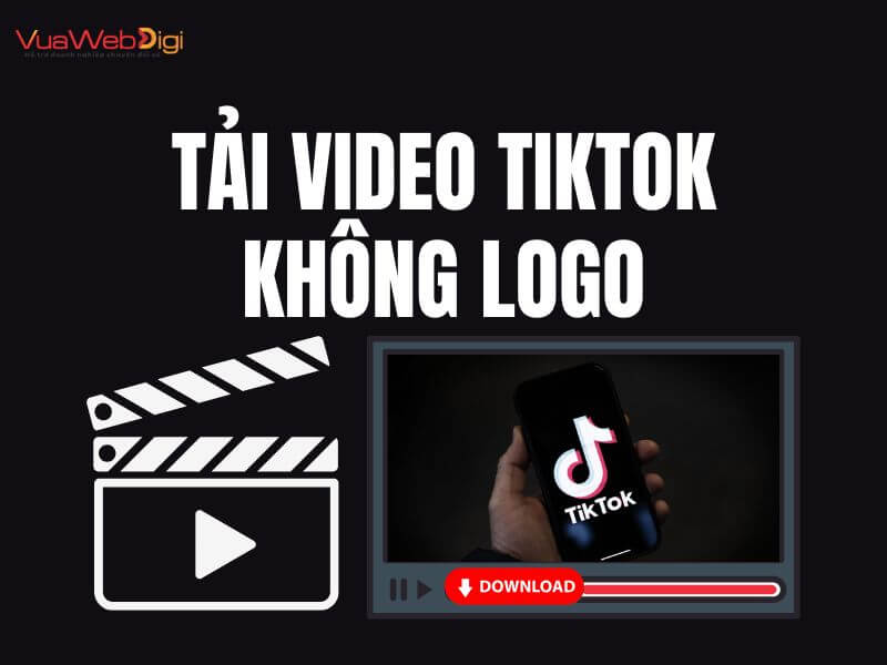 Tải Video Tiktok 3 Công cụ tải video Tiktok không logo trên máy tính PC và điện thoại tại Vua Web Digi